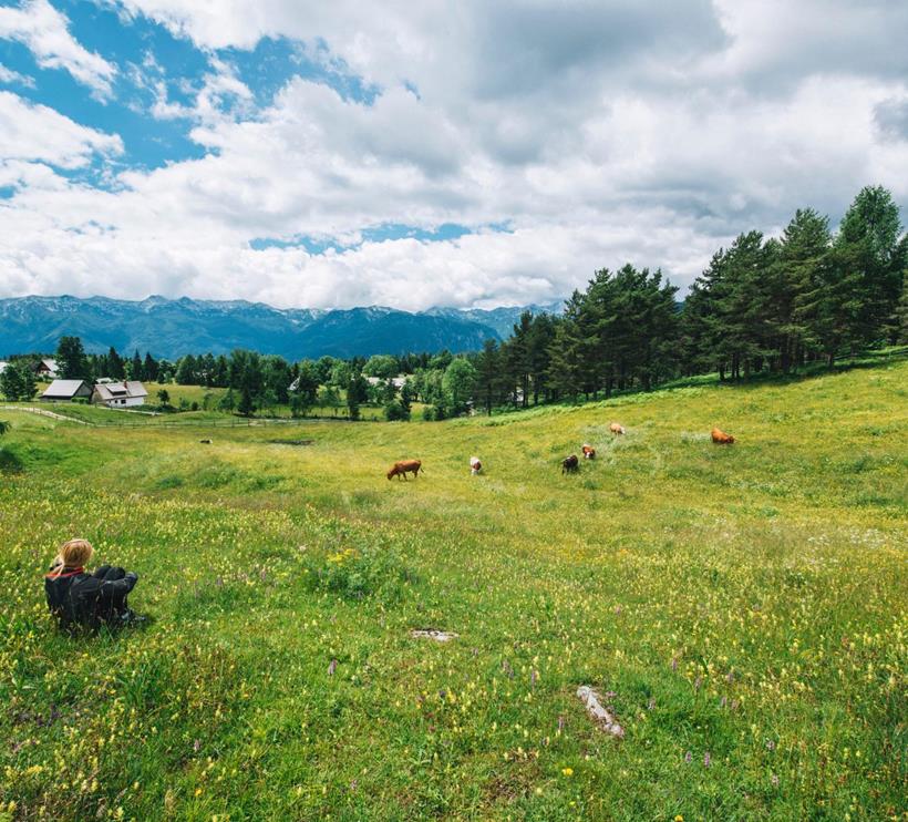 pustertalerhof-sommer-berg-1